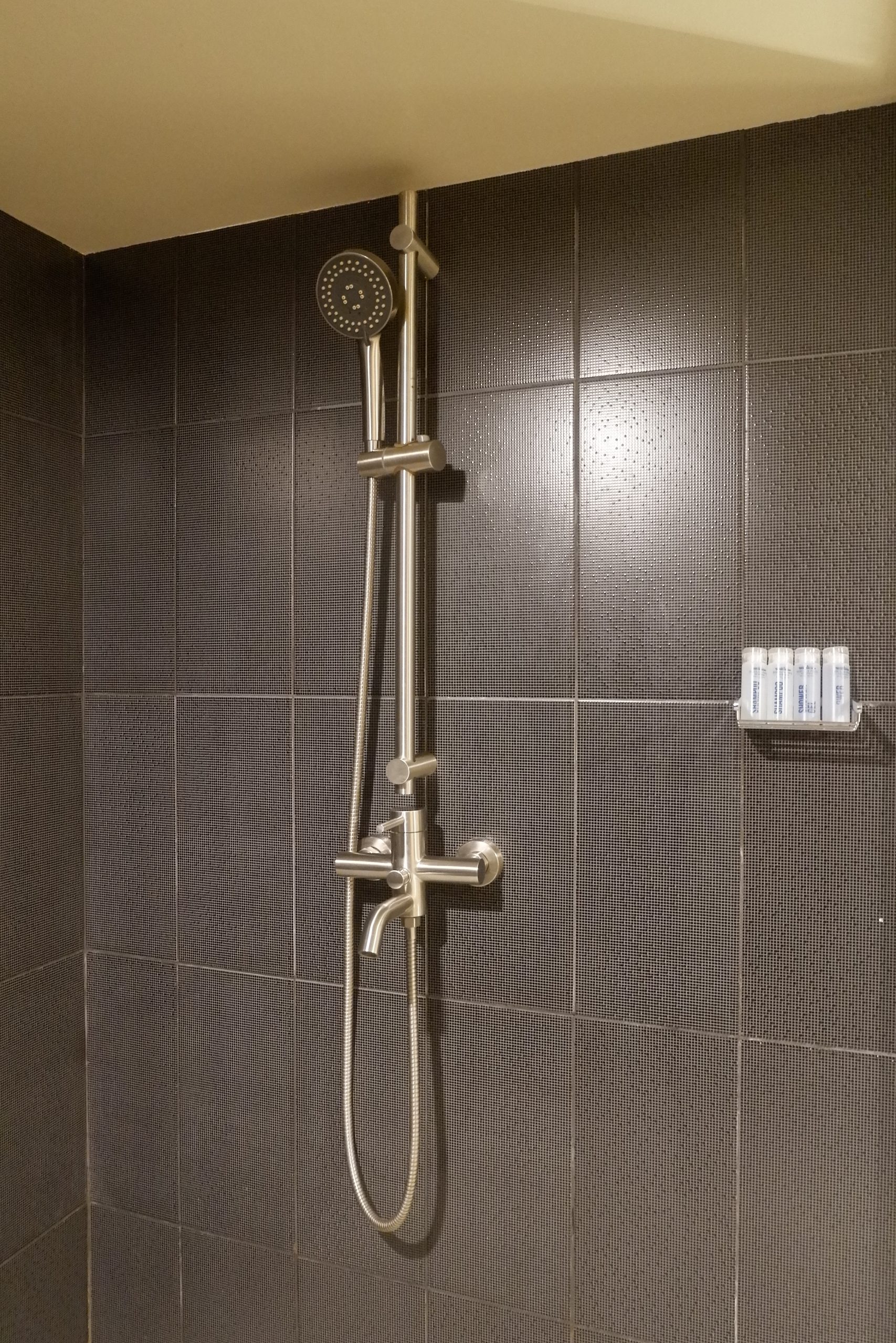 DSCF2603