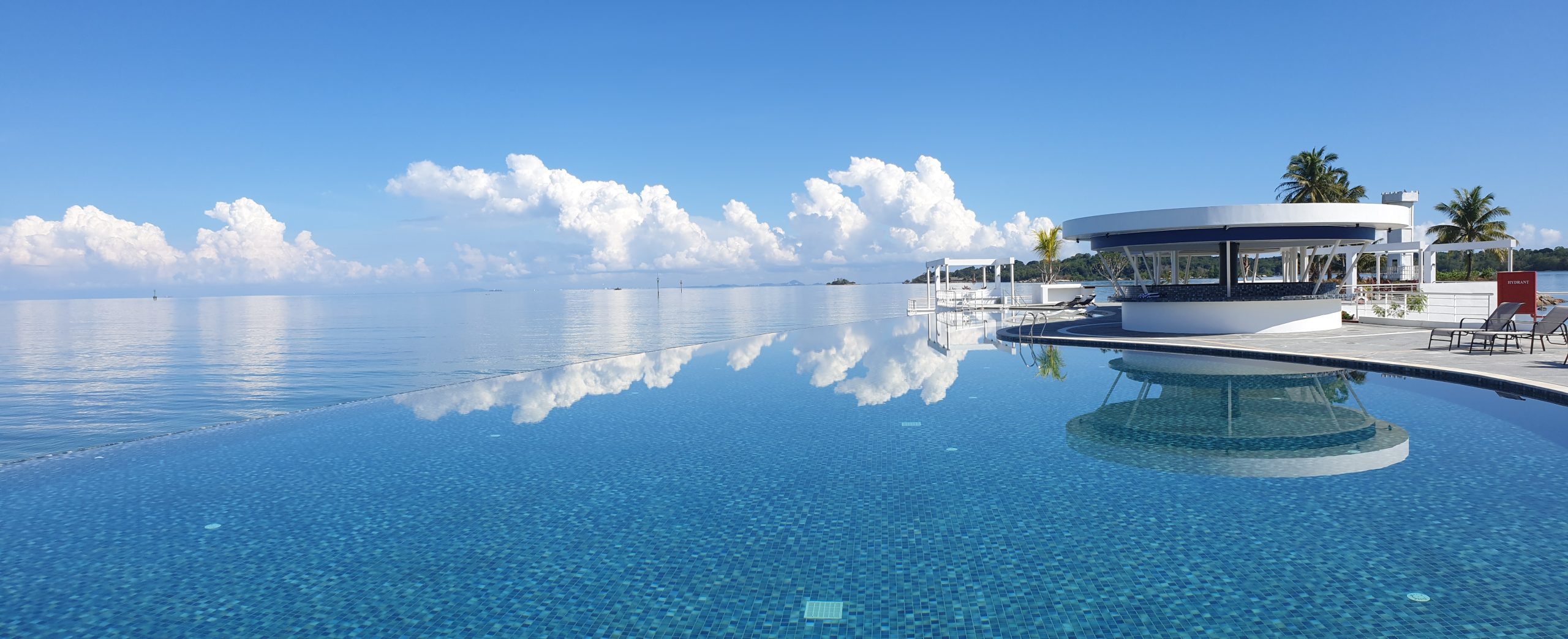 Infinity Pool.